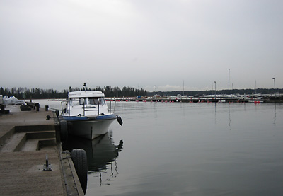 Avanti kausi 2008